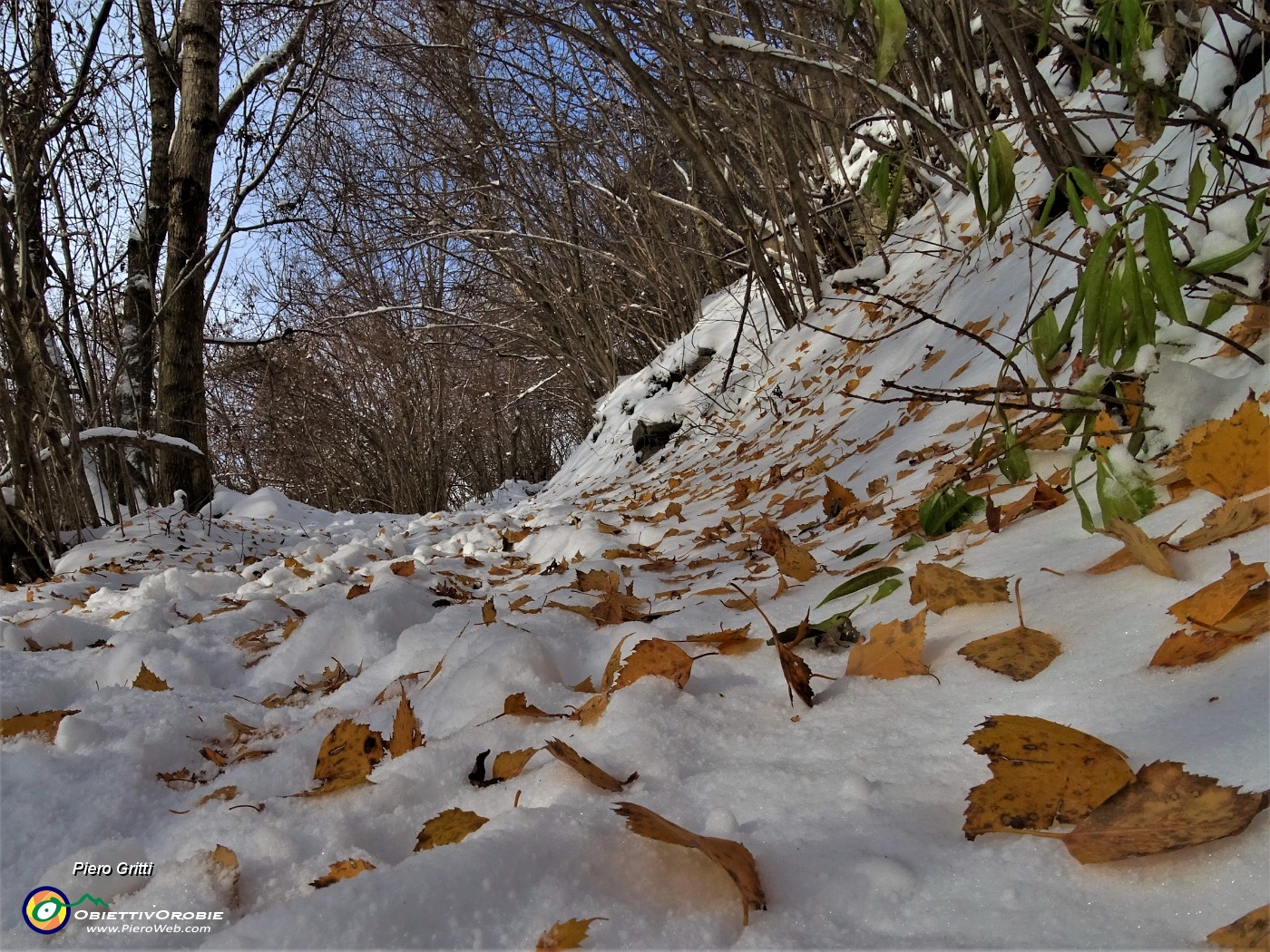 13 Tratto di sentiero nel bosco  pestando neve.JPG